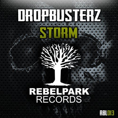 Dropbusterz - Storm (Original Mix).jpg