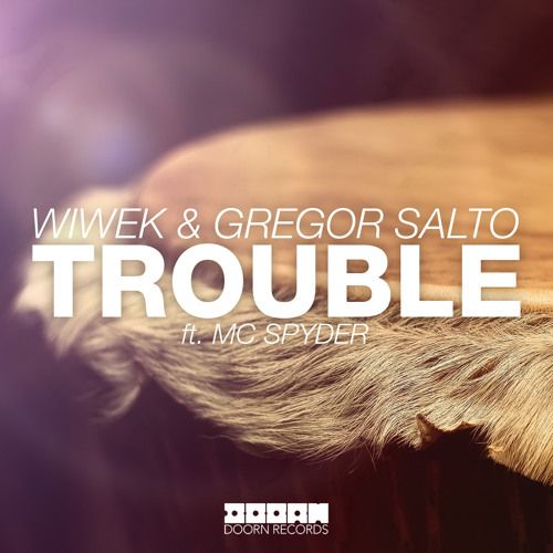 Wiwek & Gregor Salto feat. MC Spyder - Trouble (Original Mix).jpg