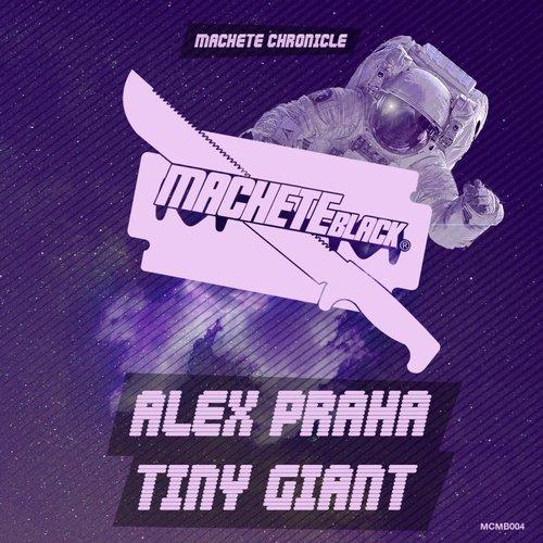 tiny giant.jpg