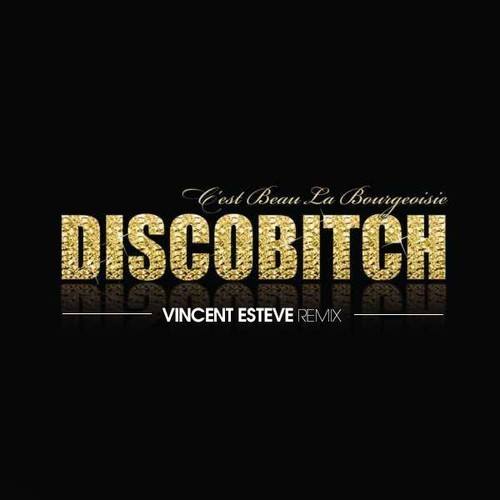 i'm a bitch.jpg