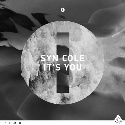 Syn Cole - It's You (Original Mix).jpg