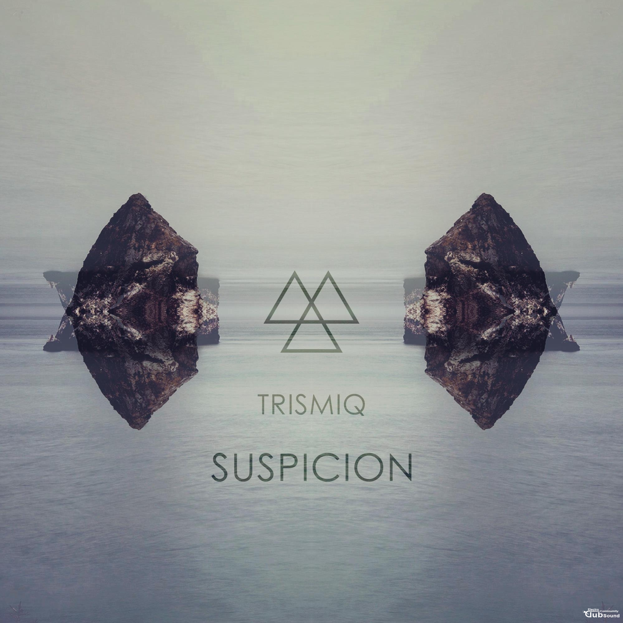 suspicion.jpg