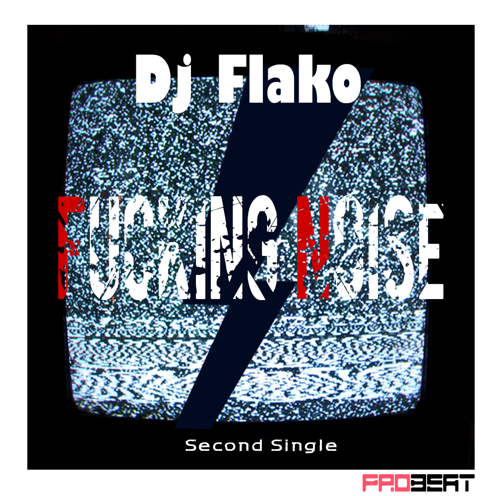DJ FLAKO - Fucking Noise Album Jacket.jpg : 국내EDM프로듀서 DJ FLAKO의 새로운 신곡 발매!! [Fucking Noise]