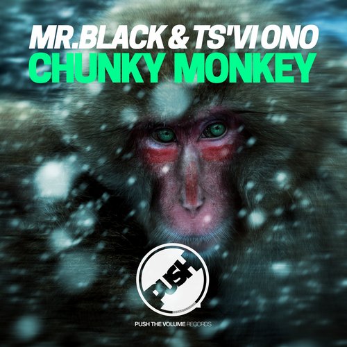 Mr.Black & TS'VI ONO - Chunky Monkey (Original Mix).jpg