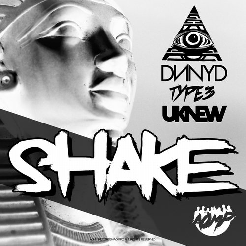 DNNYD, TYPE3 & Uknew - Shake (Original Mix).jpg