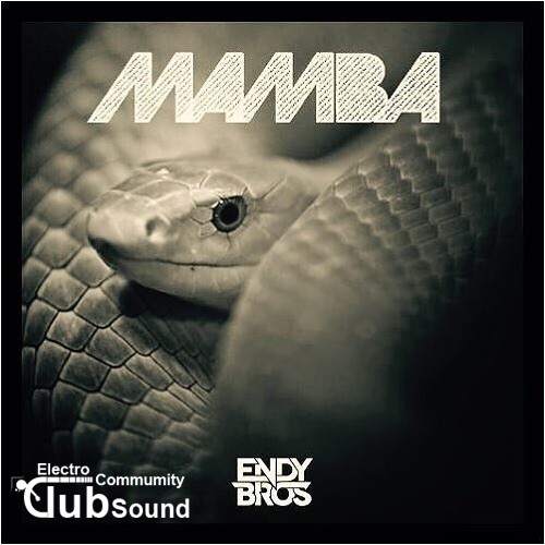 Endy Bros. - Mamba (Original Mix).jpg