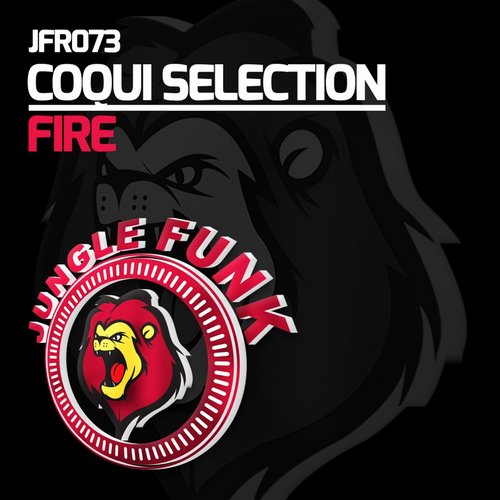 Coqui Selection - Fire (Original Mix).jpg