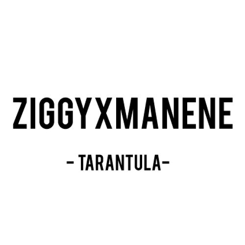 ZIGGY x Manene - Tarantula (Original Mix).jpg