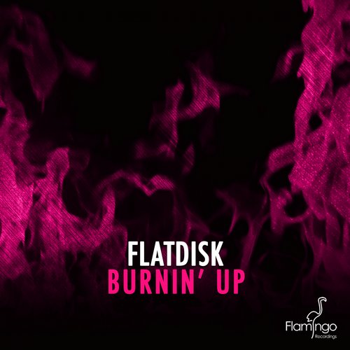 Flatdisk - Burnin' Up (Original Mix).jpg