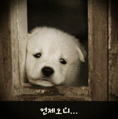 IMG_20140123_215927.jpg : 언제오니? 금요일!!! ㅋㅋㅋㅋ toni cross LS mix