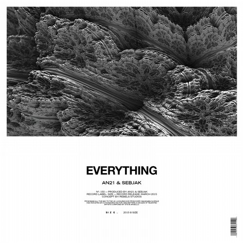 AN21 & Sebjak - Everything (Original Mix).jpg