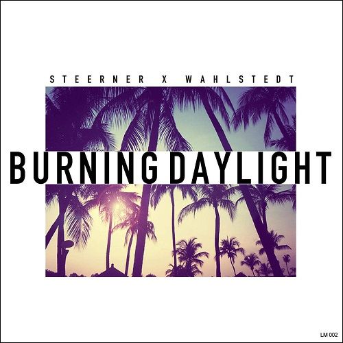 Steerner & Wahlstedt - Burning Daylight (Extended Mix).jpg