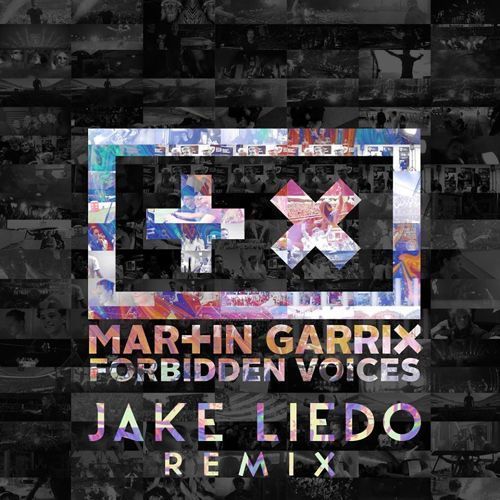 Martin Garrix - Forbidden Voices (Jake Liedo Remix).jpg