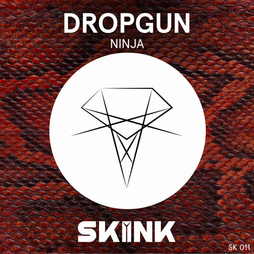 Dropgun - Ninja (Original Mix).jpg