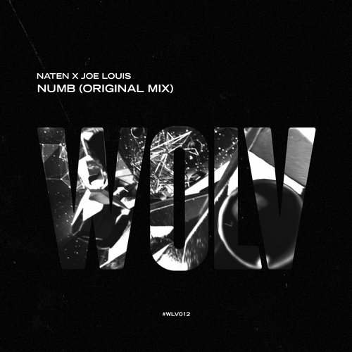 Naten x Joe Louis - Numb (Original Mix).jpg