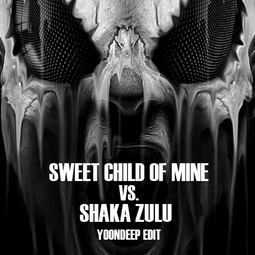 Sweet Child Of Mine Vs.Shaka Zulu (YoonDeep Edit).jpg