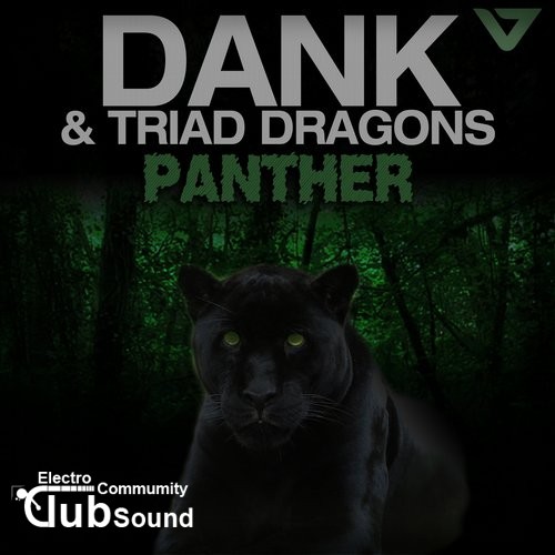 DANK & Triad Dragons - Panther (Original Mix).jpg