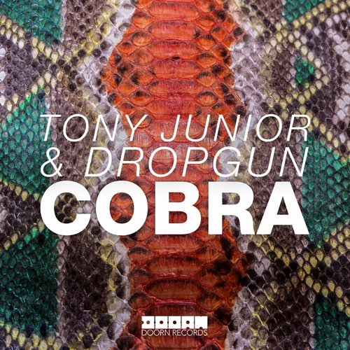 Tony Junior & Dropgun - Cobra (Original Mix).jpg