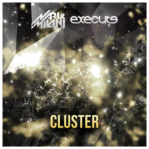 Nari & Milani, Execute - Cluster (Original Mix).jpg